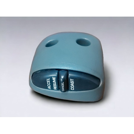 Comando Crucero Chrysler Neon 2000-2005