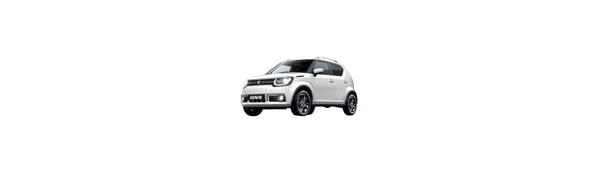 IGNIS 2014-2023