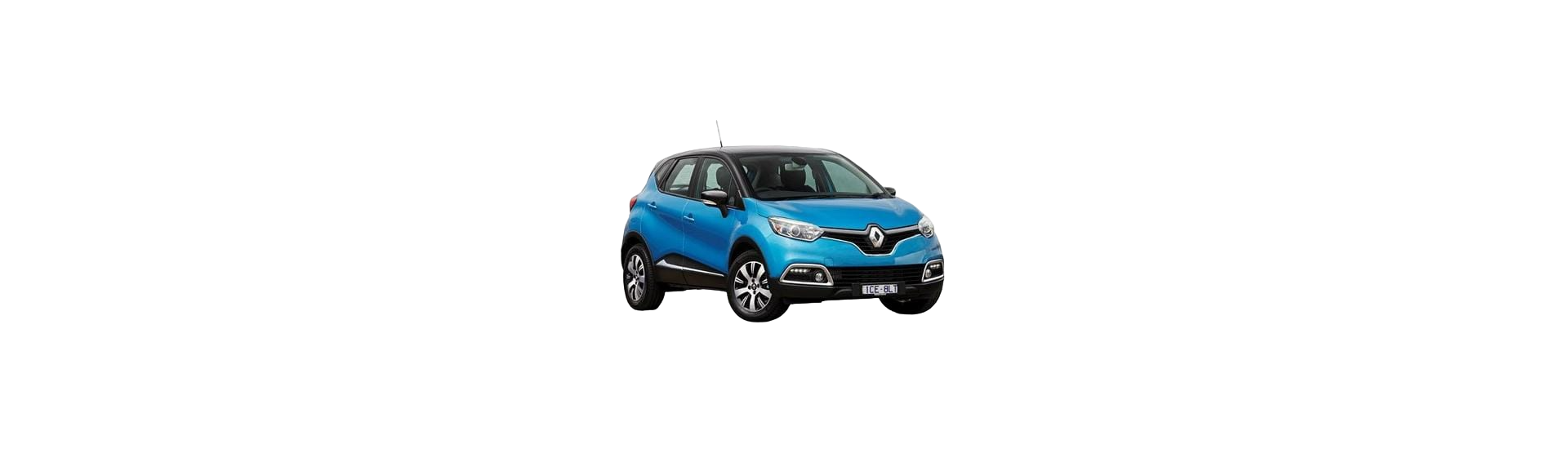 CAPTUR 2013-2015