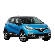 CAPTUR 2013-2015